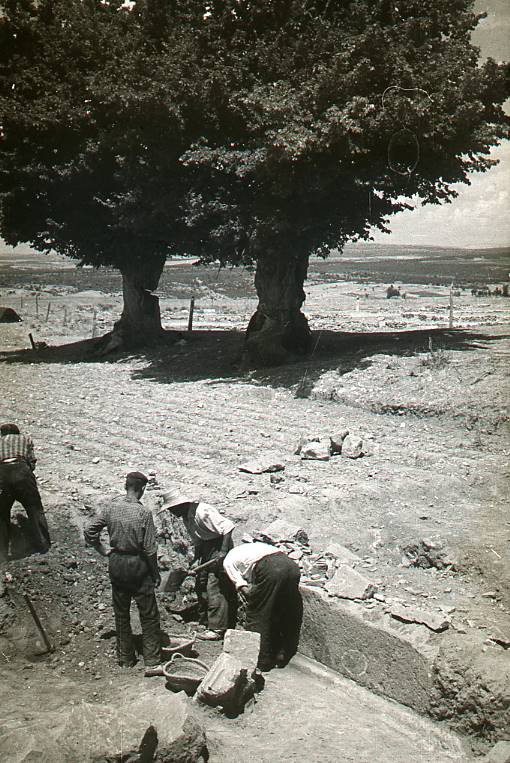 [Excavació de la zona del fòrum de Clunia]