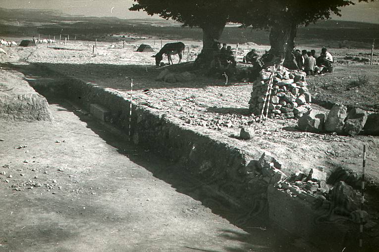 [Vista general excavació de la zona del fòrum de Clunia]