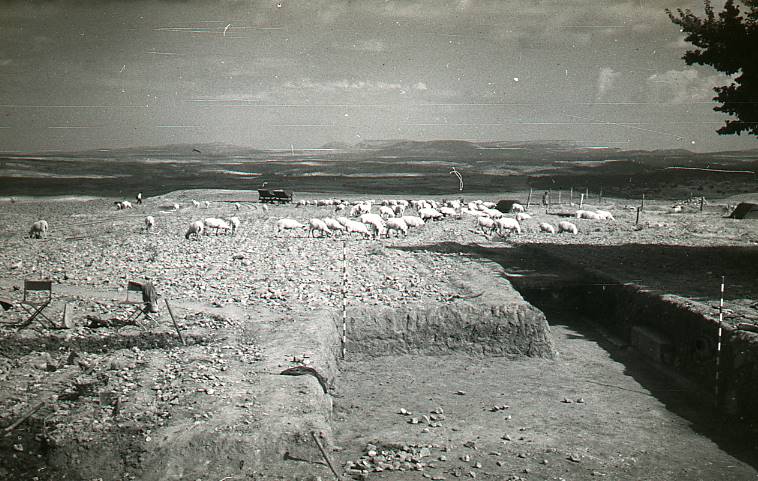 [Vista general de l'excavació de la zona del fòrum]