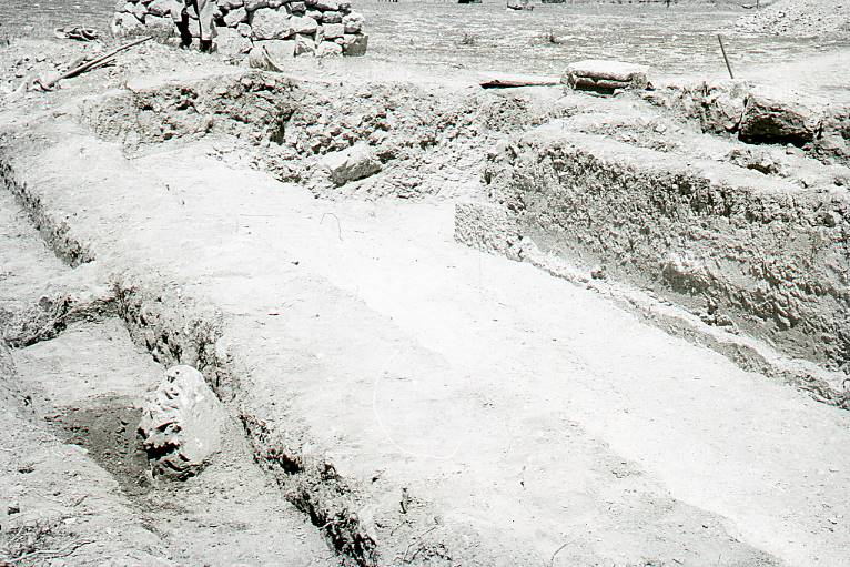 [Carrer excavat a la ciutat romana de Clunia]