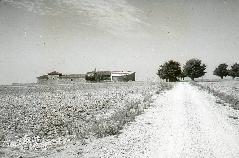 [Panoràmica del camí per arribar a l'excavació de Clunia]