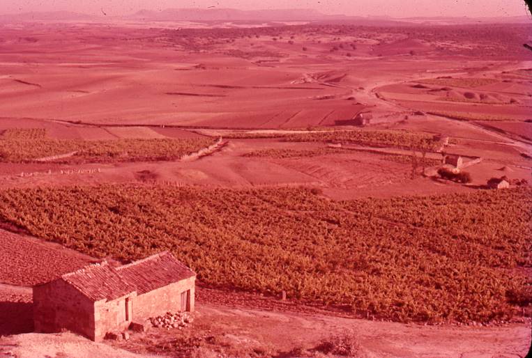 [Panoràmica del paisatge burgalès proper a Clunia]