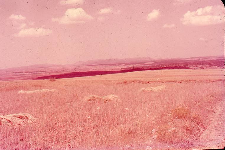 [Panoràmica del paisatge burgalès proper a Clunia]