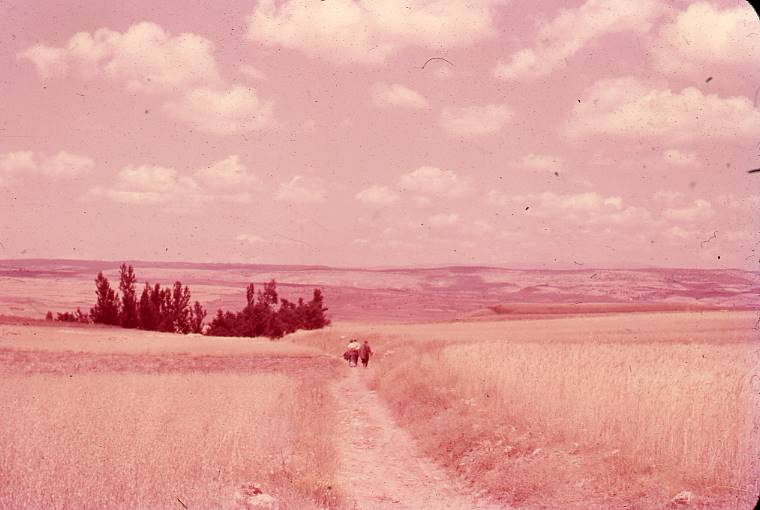 [Panoràmica del paisatge burgalès proper a Clunia]