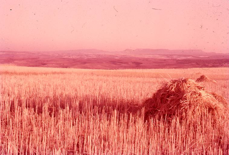 [Panoràmica del paisatge burgalès proper a Clunia]