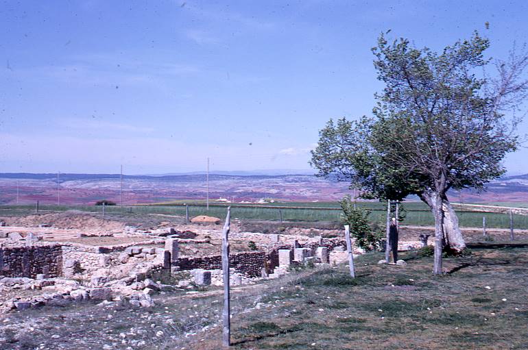 [Vista general d'un sector obert en excavació, Clunia]