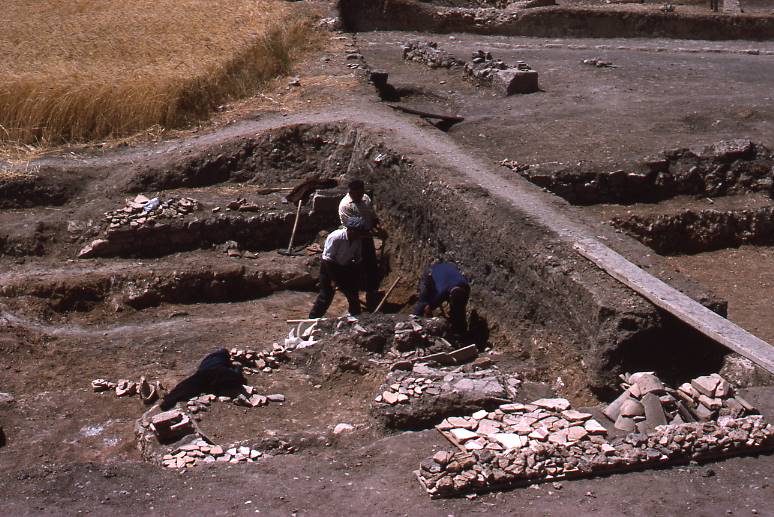 [Sector d'excavació de Clunia amb tres excavadors feinejant]