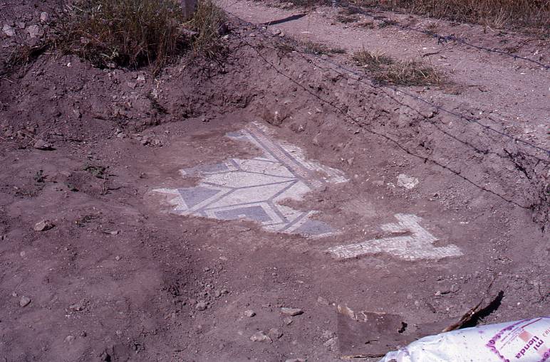 [Troballa d'un mosaic de motius geomètrics al jaciment de Clunia]