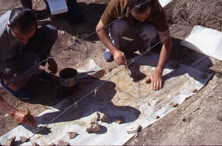 [Treballs de consolidació d'un mosaic de motius geomètrics al jaciment de Clunia]