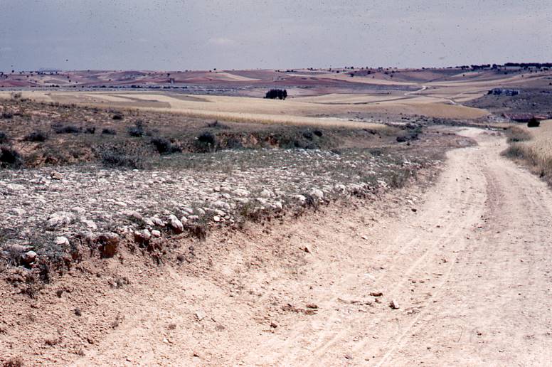 [Via romana propera al jaciment de la ciutat romana de Clunia]