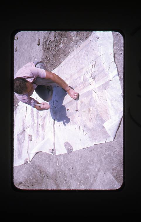 [Treballs de consolidació, dibuix i extracció d'uns mosaics al jaciment de Clunia]