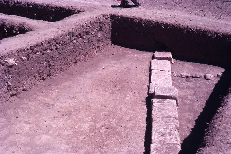 [Vista de les estructures excavades de la zona de l'ermita de Clunia]