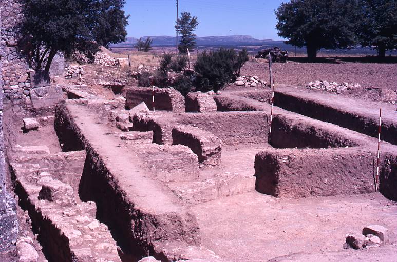 [Vista de les estructures excavades de la zona de l'ermita de Clunia]