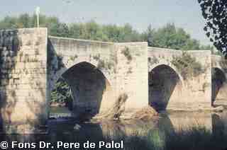 [Pont de Carrión de los Condes, Palència]