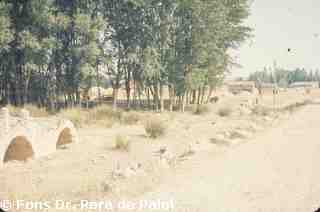 [Pont de Carrión de los Condes, Palència]