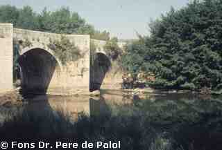 [Pont de Carrión de los Condes, Palència]