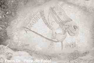 [Detall del cavall Amoris del mosaic d'Oceà de la Vil·la romana de Dueñas, Palència]