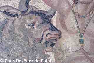 [Detall del mosaic d'Oceà de la Vil·la romana de Dueñas, Palència]