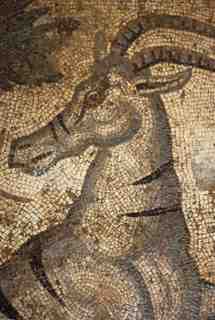 [Detall d'un antílop del mosaic de caça de la vil·la romana de La Olmeda]