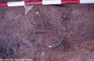 [Detall de la localització de restes materials durant l'excavació del jaciment d'El Bovalar]