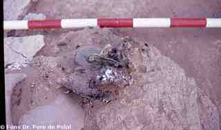 [Detall de la localització d'una sivella de bronze durant l'excavació del jaciment d'El Bovalar]