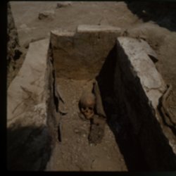 [Serie de sepultures excavades a l'interior de la basílica d'El Bovalar]