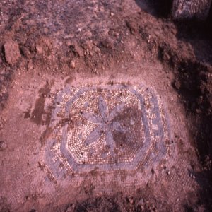 [Restes de mosaic pavimental localitzat al jaciment de Vil·la Fortunatus, Fraga]