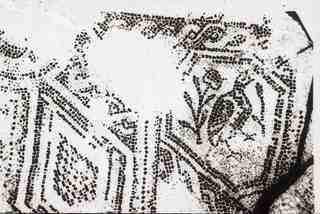 [Mosaic sense identificar]