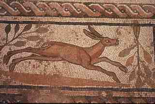 [Detall d'un quadrúpede en carrera representat al mosaic de Baños de Valdearados, Burgos]