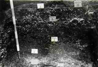 Cova del Piélago I. Inici de les excavacions als nivells de l'azilià