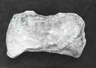 [Fragment d'una escultura sense determinar i de procedència desconeguda]