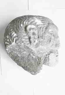 [Rostre localitzat a la localitat de Calabazanos, Palència]