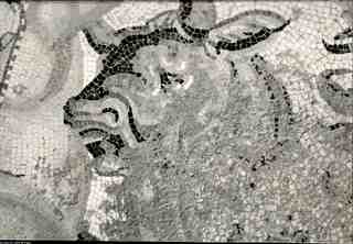 [Representació d'un bou en un dels mosaics de la vil·la romana de Dueñas, Palencia]