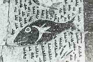 [Detall d'un dels peixos representats en els mosaics localitzats a les excavacions de la Plaza de la Corredera, Còrdova]