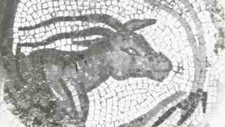 [Detall d'un ant en el mosaic de la Vil·la de Dueñas, Palència]