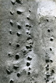 [Detall dels nombrosos forats de pal localitzats durant l'excavació de l'anomenada muralla céltica]