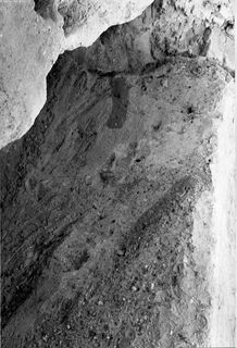 [Detall d'un tall estratigràfic de l'excavació del Soto de Medinilla, Valladolid]