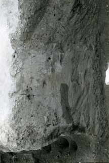 [Detall d'un tall estratigràfic de l'excavació del Soto de Medinilla, Valladolid]