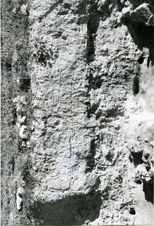 [Detall d'un tall estratigràfic de l'excavació del Soto de Medinilla, Valladolid]