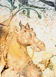 [Detall del mosaic de caça o circ de la vil·la romana de La Olmeda]