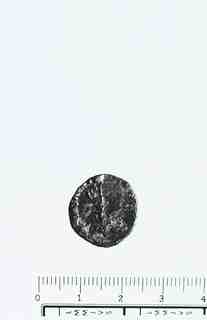 [Anvers d'una moneda romana procedent de l'excavació de la vil·la romana de La Olmeda, Palencia]