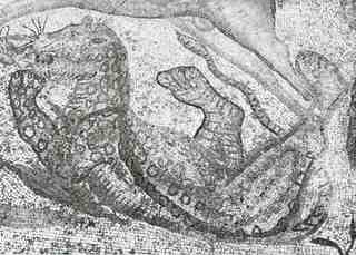[Detall del mosaic de caça de La Olmeda, Palencia]