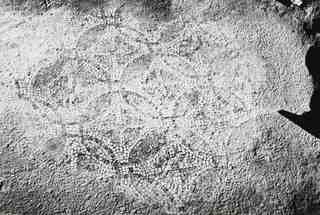 [Detall d'un paviment de mosaic procedent de la vil·la de La Olmeda]