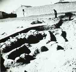 [Excavació de la necròpoli de San Juan de Baños]