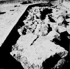 [Excavació de la necròpoli de San Juan de Baños]