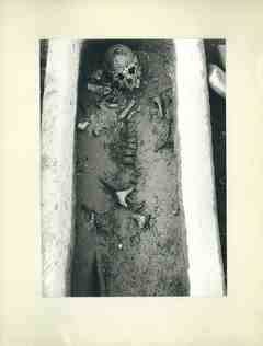 [Restes de l'esquelet a l'interior de la sepultura 21 de l'interior de la basílica d'El Bovalar]