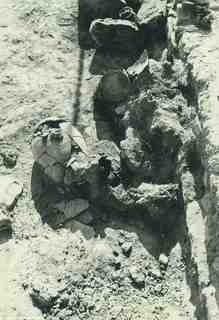 [Detall de nombrosos materials localitzats durant l'excavació de l'àmbit VII-10 del poblat d'El Bovalar]
