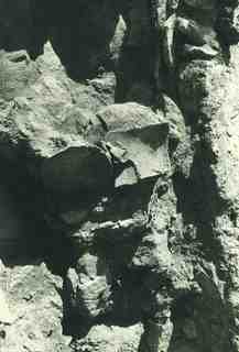 [Detall de material localitzat durant l'excavació de l'àmbit VII-10 del poblat d'El Bovalar]