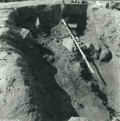 [Excavació de restes de fusta cremada localitzada al jaciment d'El Bovalar