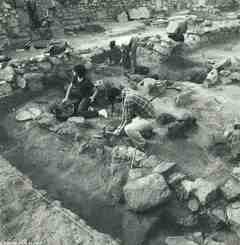 [Vista general del sector nord-est del poblat d'El Bovalar, en procés d'excavació]